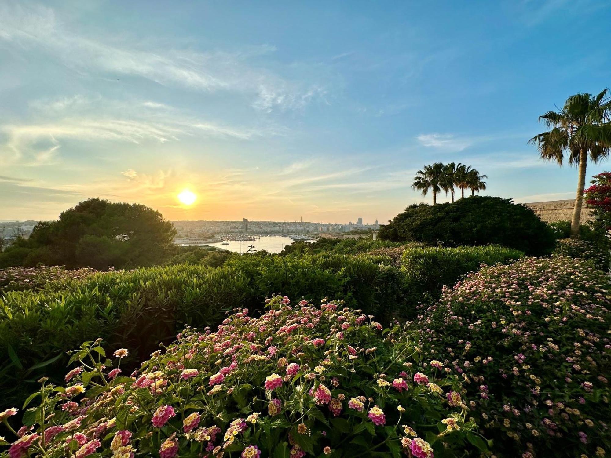 The Phoenicia Malta Floriana Exterior photo Sunset at the San Diego Botanical Garden